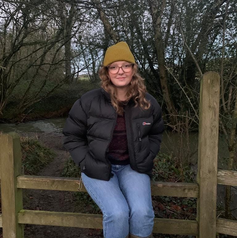 Zoe from Happy Yappers sat on a fence during a dog walk